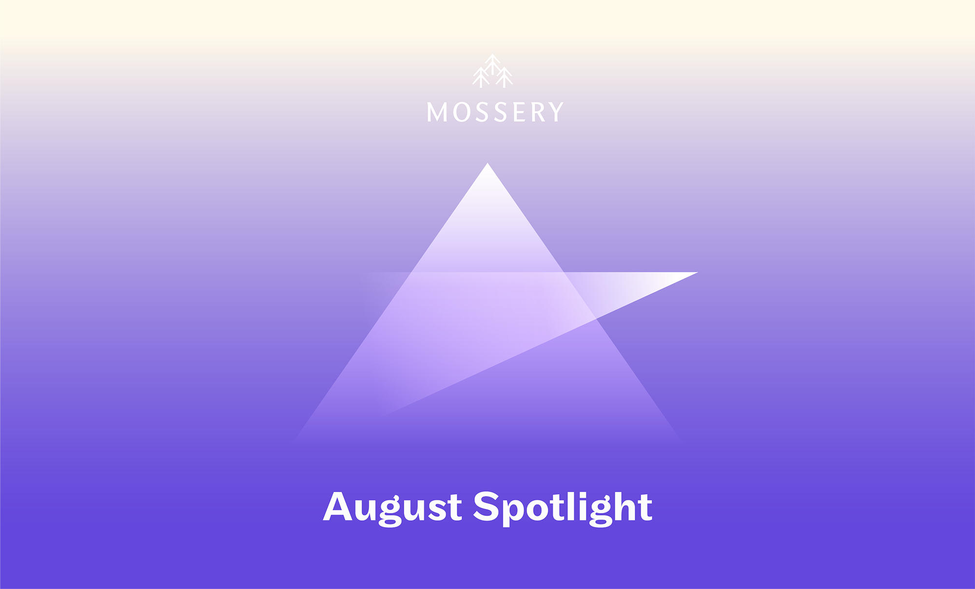 The Flicker of Fun in August