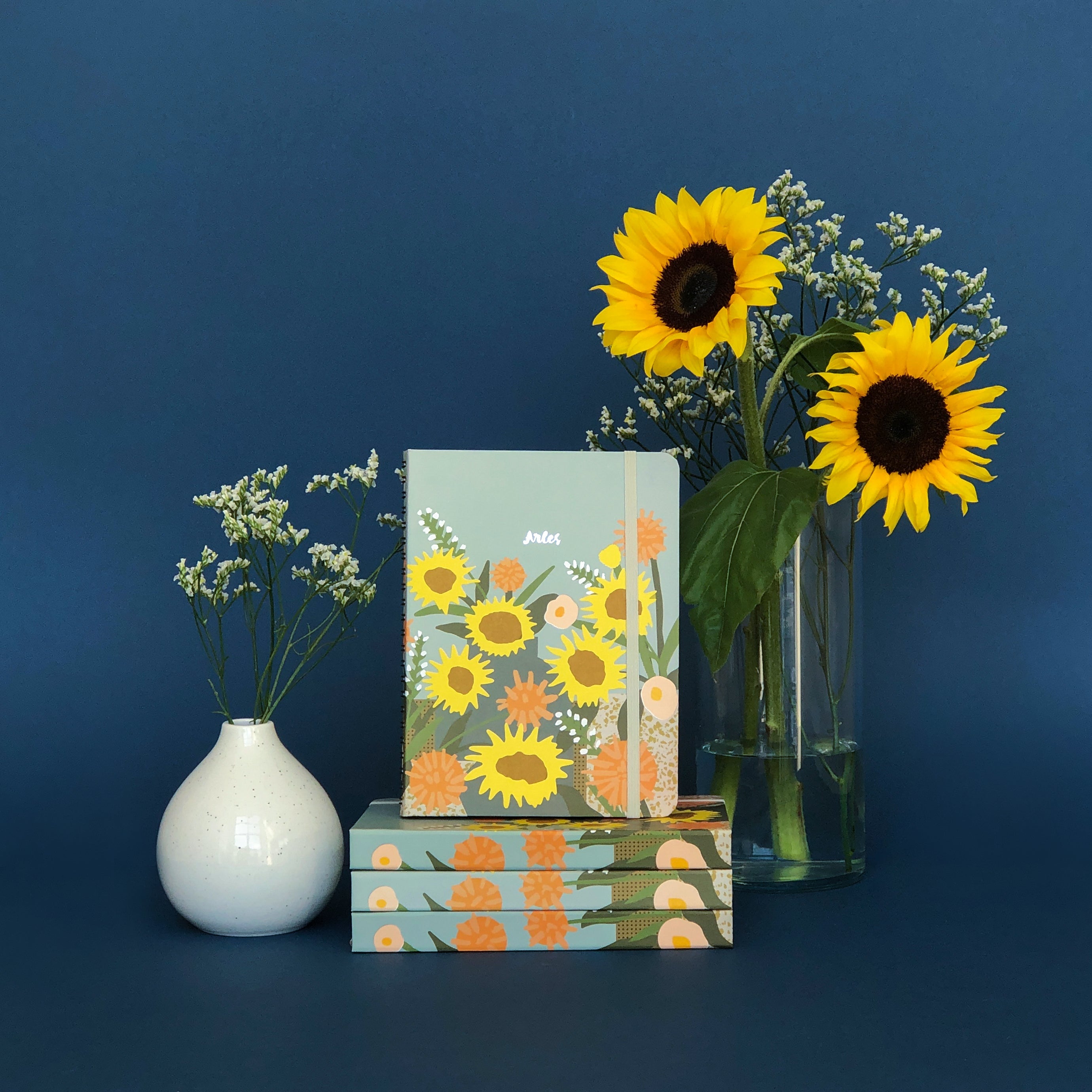 Artist Collaboration: An Interview with Elena Boils