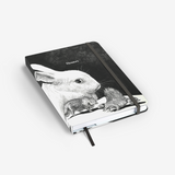 BEGIN THINE CONSCIOUSNESS Cover